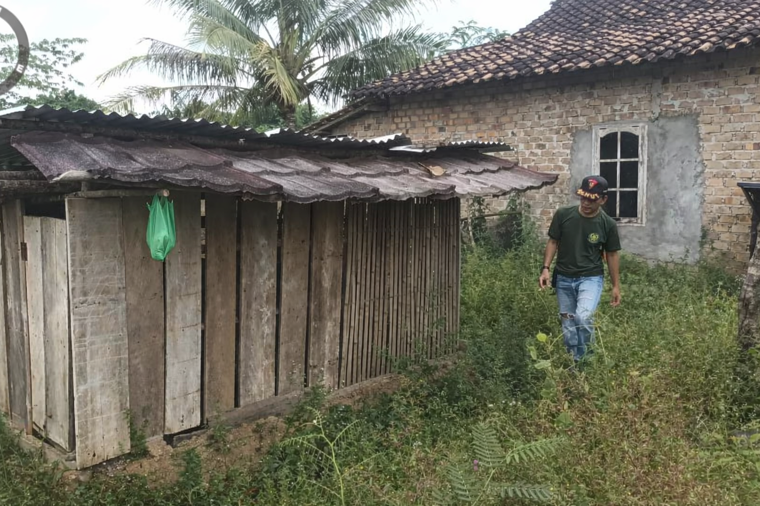 Klarifikasi Dugaan Kemunculan Harimau di Desa Tanjung Baru, Kabupaten OKU