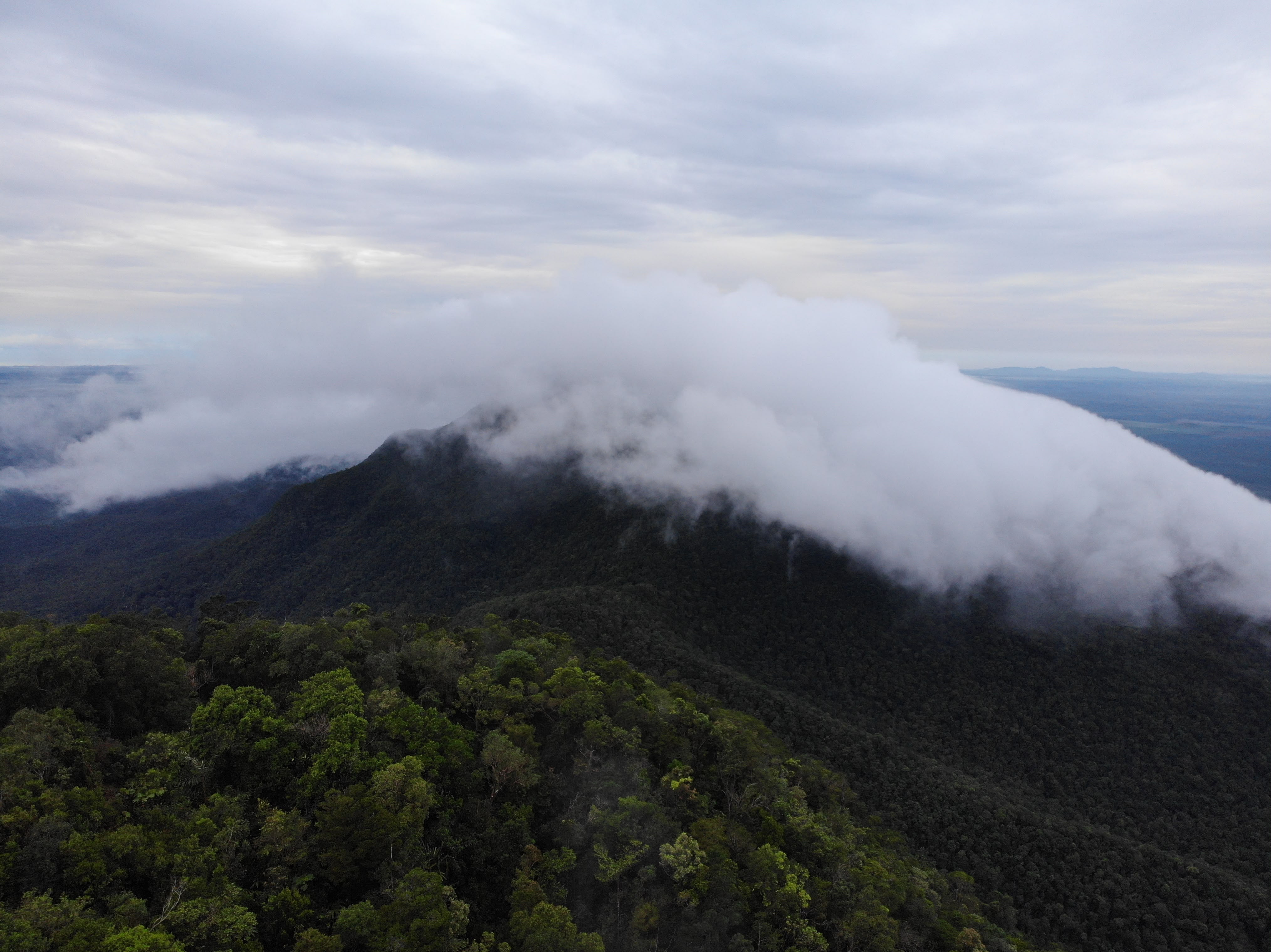 TAMAN NASIONAL GUNUNG MARAS MEMASUKI SATU DEKADE PERJALANAN KONSERVASI