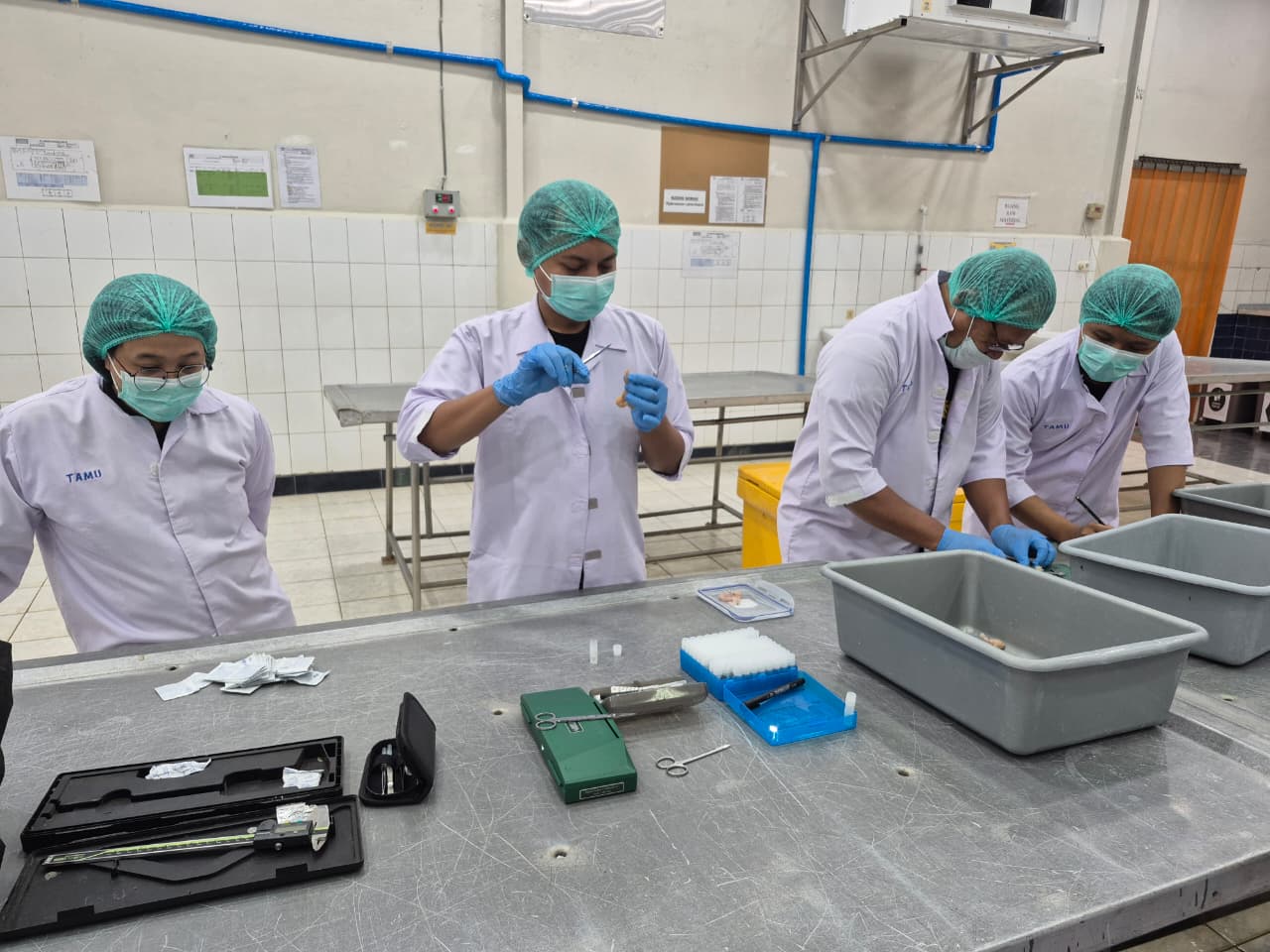 Badan Riset Inovasi Nasional (BRIN) dan Direktorat Konservasi Spesies & Genetik bersama dengan BKSDA Sumsel Lakukan Pendataan serta Uji DNA Katak Sawah (Fejervarya cancrivora)