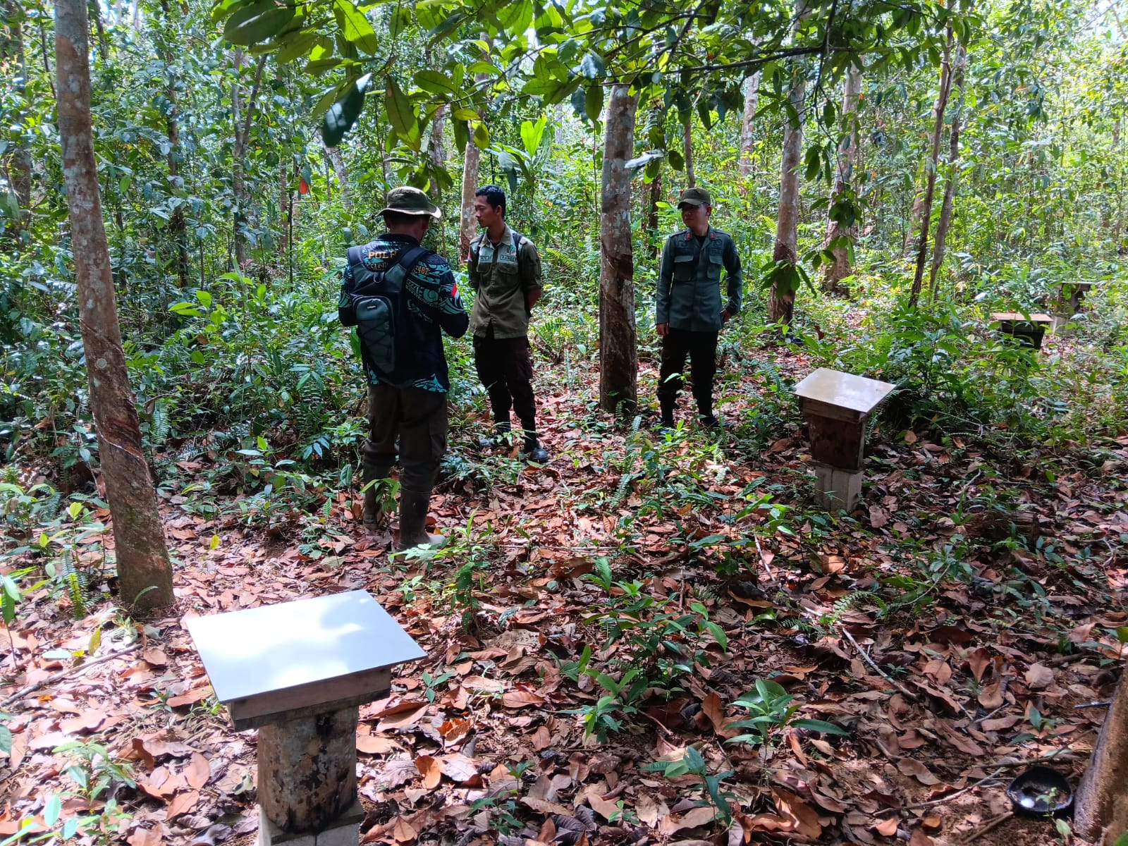 Langkah Preventif Pencegahan Kebakaran Hutan dan Lahan